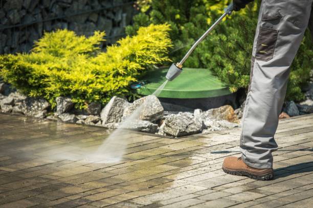 Best Sidewalk and Walkway Cleaning  in Berkshire Lakes, FL